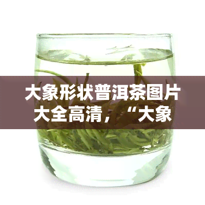 大象形状普洱茶图片大全高清，“大象形状普洱茶高清图片大全：品味茶中奇妙世界！”