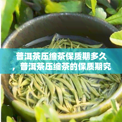 普洱茶压缩茶保质期多久，普洱茶压缩茶的保质期究竟有多长？