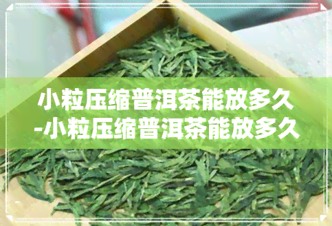 小粒压缩普洱茶能放多久-小粒压缩普洱茶能放多久啊