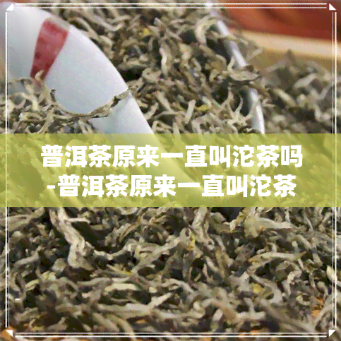 普洱茶原来一直叫沱茶吗-普洱茶原来一直叫沱茶吗为什么