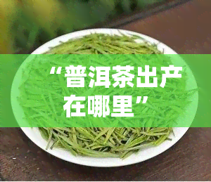 “普洱茶出产在哪里”