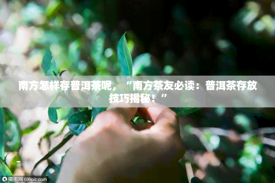 南方怎样存普洱茶呢，“南方茶友必读：普洱茶存放技巧揭秘！”