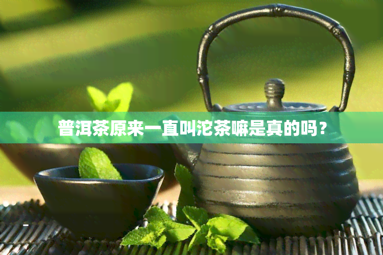 普洱茶原来一直叫沱茶嘛是真的吗？