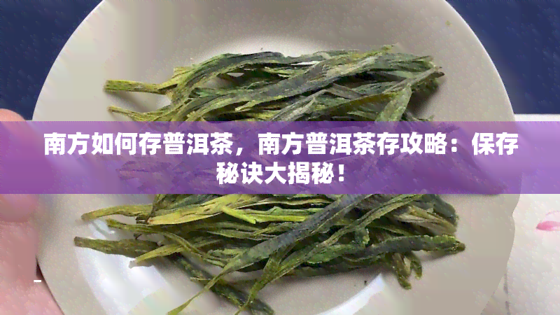 南方如何存普洱茶，南方普洱茶存攻略：保存秘诀大揭秘！