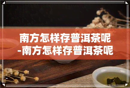 南方怎样存普洱茶呢-南方怎样存普洱茶呢视频