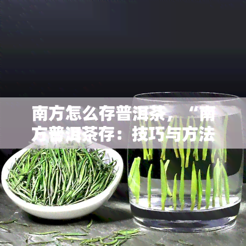 南方怎么存普洱茶，“南方普洱茶存：技巧与方法”