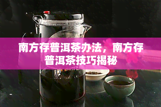 南方存普洱茶办法，南方存普洱茶技巧揭秘