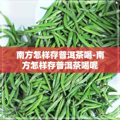 南方怎样存普洱茶喝-南方怎样存普洱茶喝呢