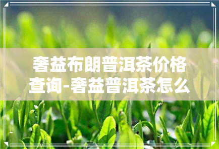 奢益布朗普洱茶价格查询-奢益普洱茶怎么样