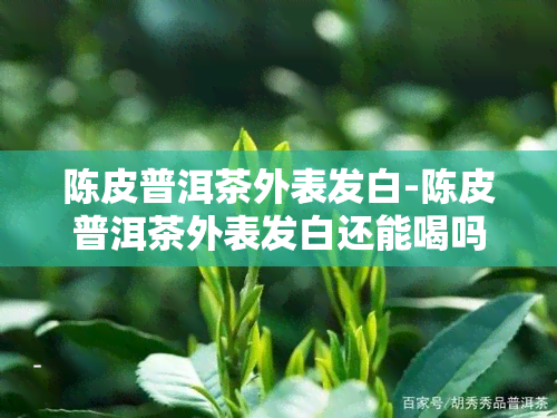 陈皮普洱茶外表发白-陈皮普洱茶外表发白还能喝吗