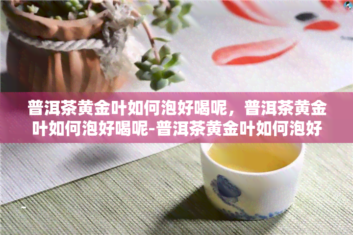 普洱茶黄金叶如何泡好喝呢，普洱茶黄金叶如何泡好喝呢-普洱茶黄金叶如何泡好喝呢视频