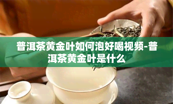 普洱茶黄金叶如何泡好喝视频-普洱茶黄金叶是什么