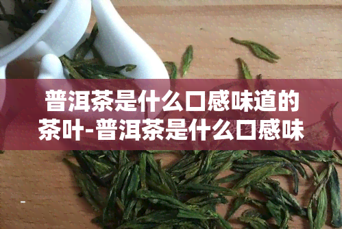 普洱茶是什么口感味道的茶叶-普洱茶是什么口感味道的茶叶呢