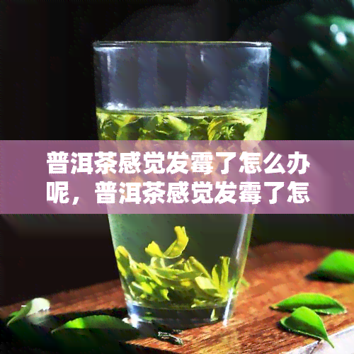 普洱茶感觉发霉了怎么办呢，普洱茶感觉发霉了怎么办呢-普洱茶感觉发霉了怎么办呢图片