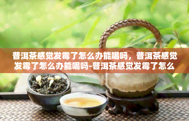 普洱茶感觉发霉了怎么办能喝吗，普洱茶感觉发霉了怎么办能喝吗-普洱茶感觉发霉了怎么办能喝吗有吗