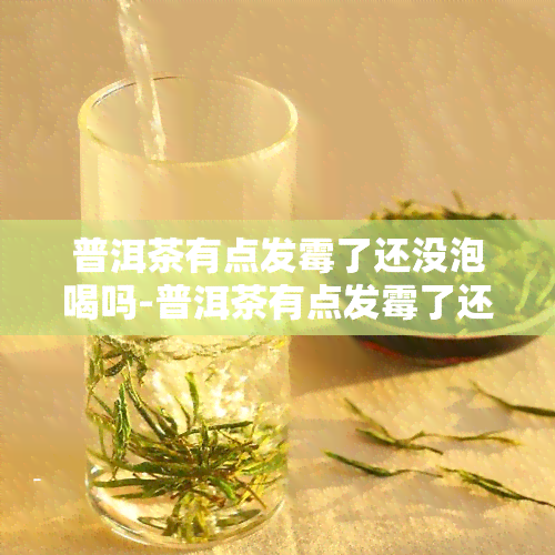 普洱茶有点发霉了还没泡喝吗-普洱茶有点发霉了还没泡喝吗有吗