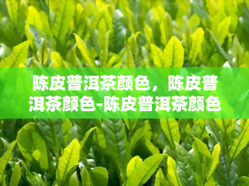 陈皮普洱茶颜色，陈皮普洱茶颜色-陈皮普洱茶颜色深正常吗-陈皮普洱茶汤颜色