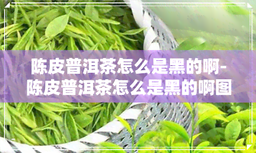 陈皮普洱茶怎么是黑的啊-陈皮普洱茶怎么是黑的啊图片