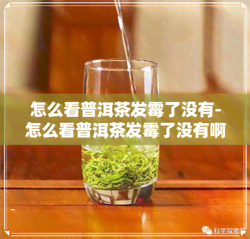 怎么看普洱茶发霉了没有-怎么看普洱茶发霉了没有啊