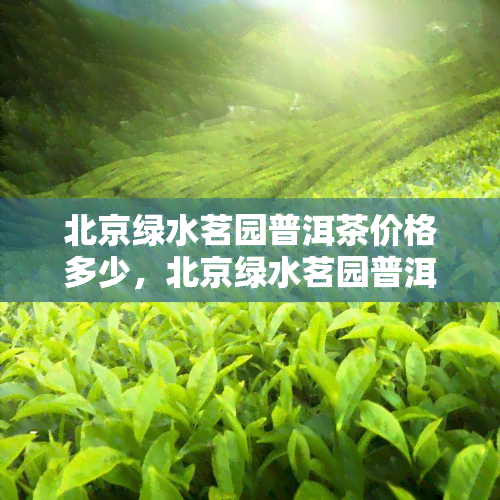 北京绿水茗园普洱茶价格多少，北京绿水茗园普洱茶价格揭秘！