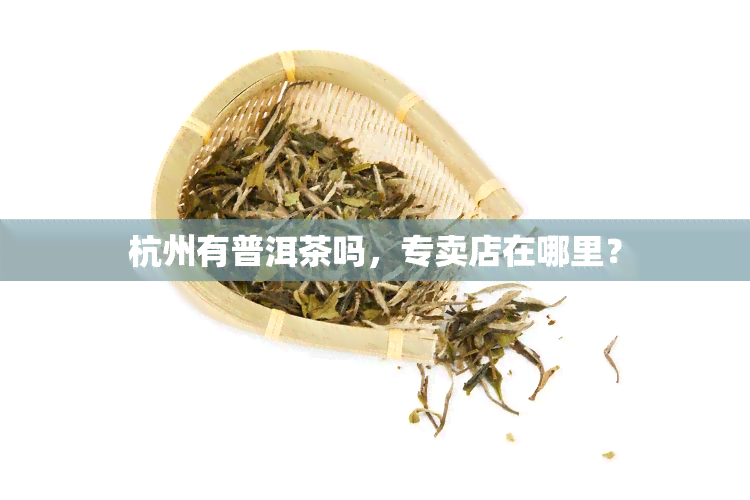 杭州有普洱茶吗，专卖店在哪里？