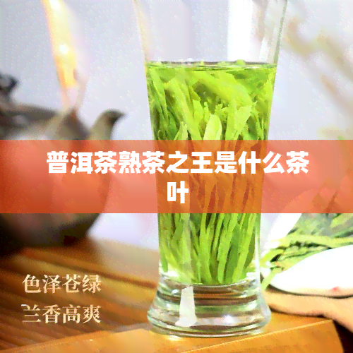 普洱茶熟茶之王是什么茶叶