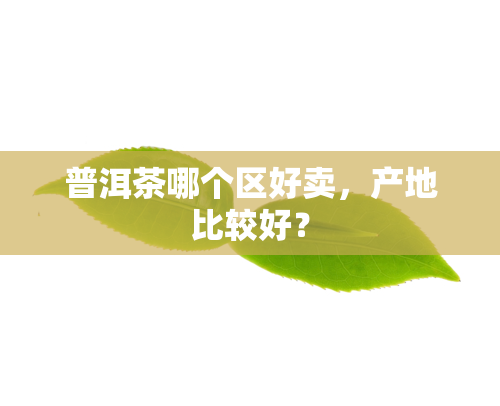 普洱茶哪个区好卖，产地比较好？