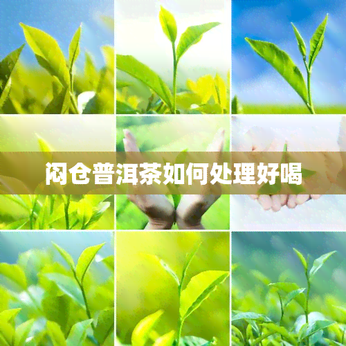 闷仓普洱茶如何处理好喝