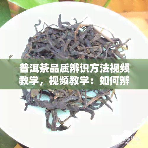 普洱茶品质辨识方法视频教学，视频教学：如何辨识普洱茶品质？