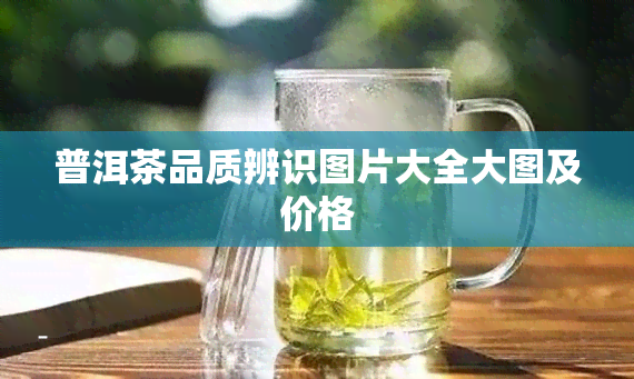 普洱茶品质辨识图片大全大图及价格