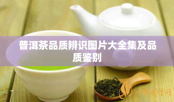 普洱茶品质辨识图片大全集及品质鉴别