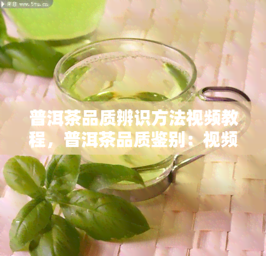 普洱茶品质辨识方法视频教程，普洱茶品质鉴别：视频教程解析