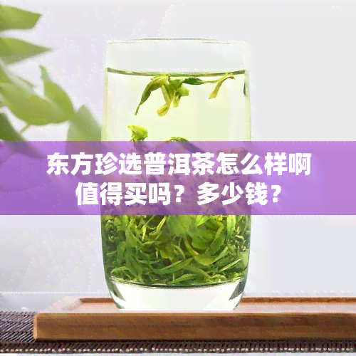 东方珍选普洱茶怎么样啊值得买吗？多少钱？