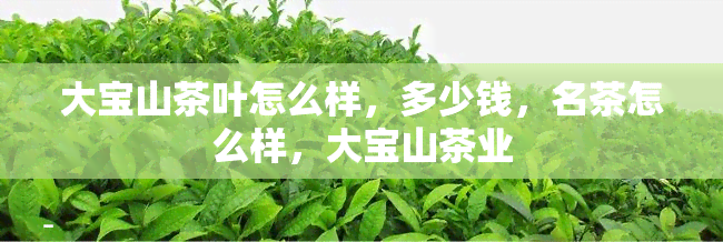 大宝山茶叶怎么样，多少钱，名茶怎么样，大宝山茶业