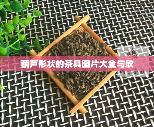 葫芦形状的茶具图片大全与欣