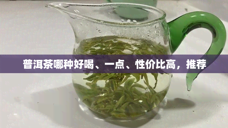 普洱茶哪种好喝、一点、性价比高，推荐