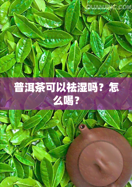 普洱茶可以祛湿吗？怎么喝？