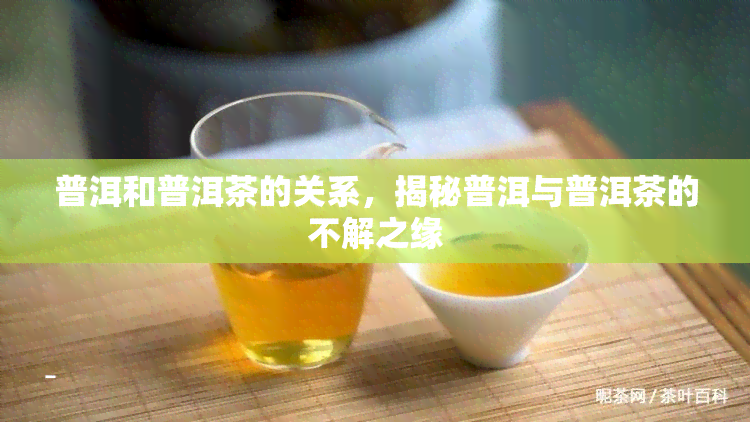 普洱和普洱茶的关系，揭秘普洱与普洱茶的不解之缘