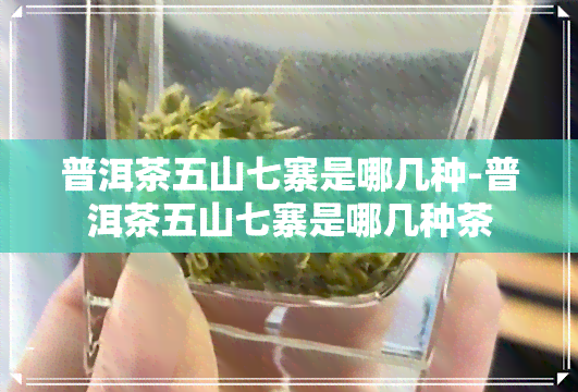 普洱茶五山七寨是哪几种-普洱茶五山七寨是哪几种茶