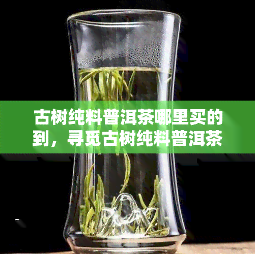 古树纯料普洱茶哪里买的到，寻觅古树纯料普洱茶：购买指南与推荐店铺