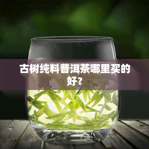 古树纯料普洱茶哪里买的好？