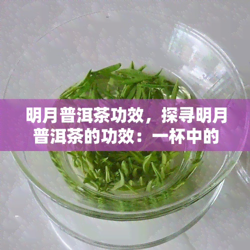 明月普洱茶功效，探寻明月普洱茶的功效：一杯中的健与美味