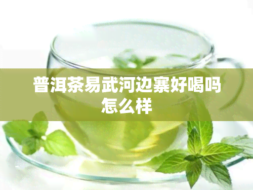 普洱茶易武河边寨好喝吗怎么样