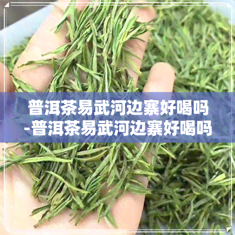 普洱茶易武河边寨好喝吗-普洱茶易武河边寨好喝吗