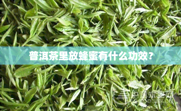 普洱茶里放蜂蜜有什么功效？