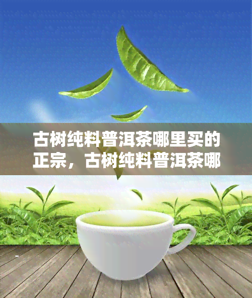 古树纯料普洱茶哪里买的正宗，古树纯料普洱茶哪里买的正宗-古树纯料普洱茶哪里买的正宗好