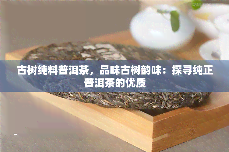 古树纯料普洱茶，品味古树韵味：探寻纯正普洱茶的优质