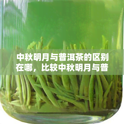 中秋明月与普洱茶的区别在哪，比较中秋明月与普洱茶：何处异彩？