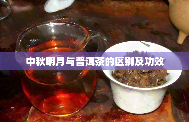 中秋明月与普洱茶的区别及功效