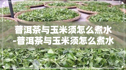 普洱茶与玉米须怎么煮水-普洱茶与玉米须怎么煮水喝